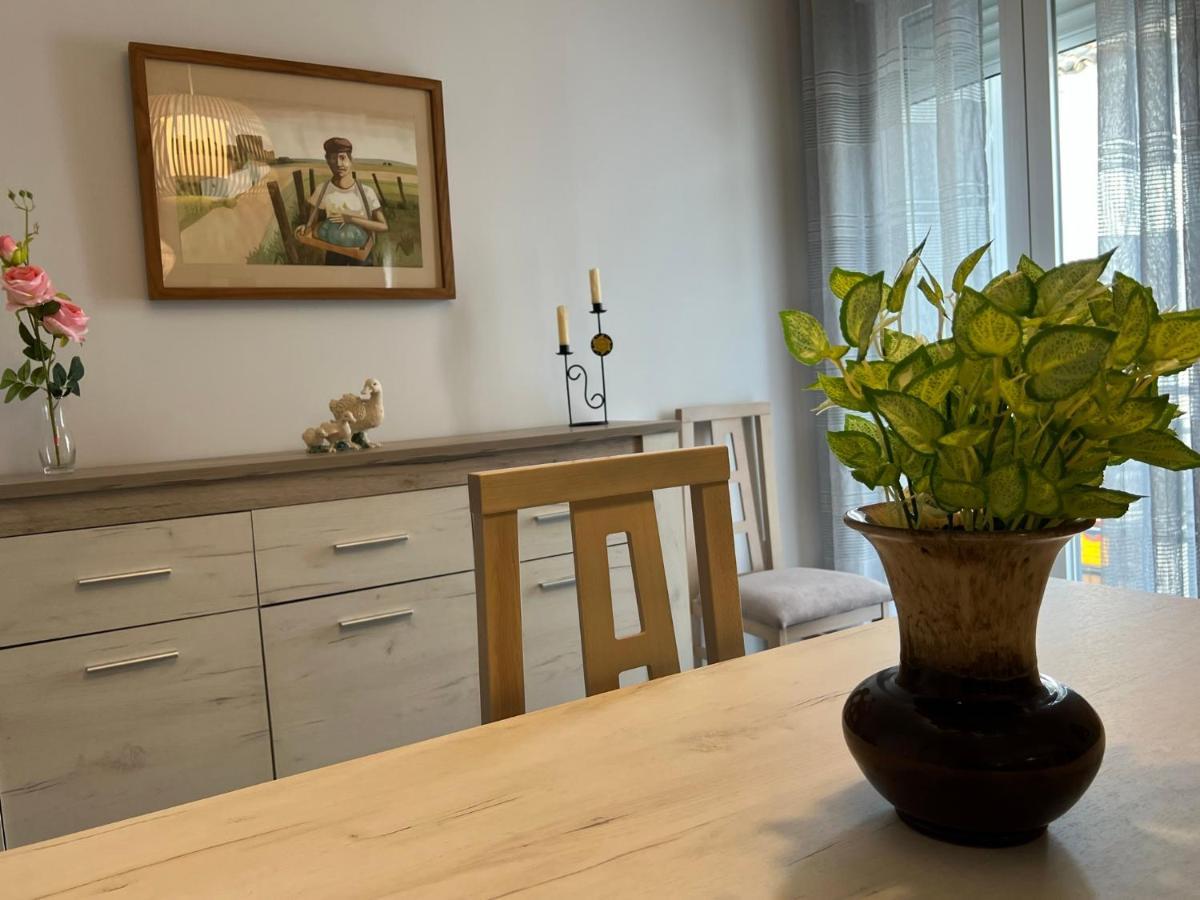 Apartamento La Pelota De Loren กอร์โดบา ภายนอก รูปภาพ